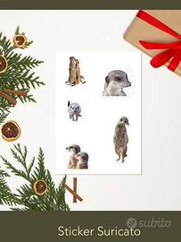 Sticker suricato