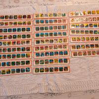 Strisce di diapositive per proiettore FestaColor