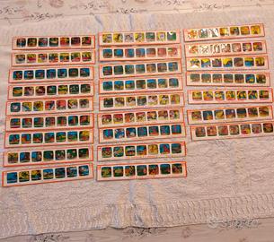 Strisce di diapositive per proiettore FestaColor