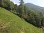 Immagine 23