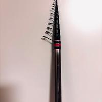 Canna da pesca bolognese Milo 6m