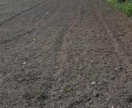 Terreno agricolo recintato Loc. Su Pezzu Mannu