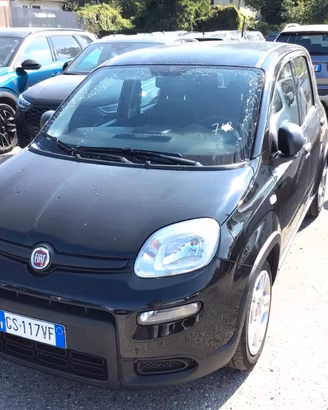 FIAT Panda 1.0 FireFly Hybrid 70cv 5 porte