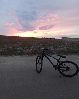 bicicletta 
