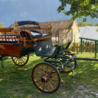 Carrozza per cavalli