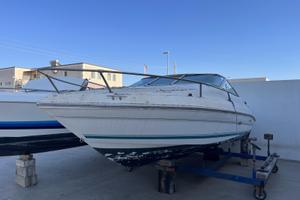 Sea Ray 200 OV