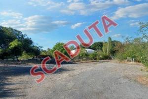 Immobile in asta di 603144 m² con più di 5 locali 