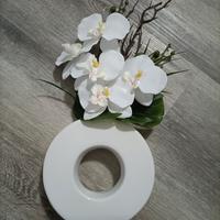 Orchidea in vaso