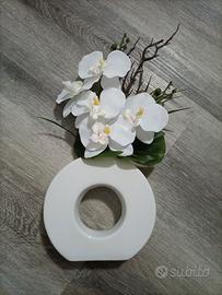 Orchidea in vaso