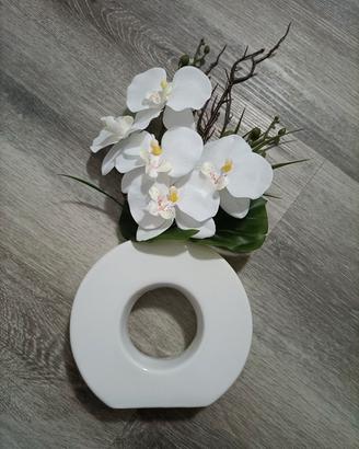 Orchidea in vaso