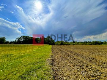 29.000 MQ TERRENO AGRICOLO TREVISO RIF "UTV20"