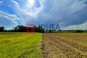 29.000 MQ TERRENO AGRICOLO TREVISO RIF "UTV20"