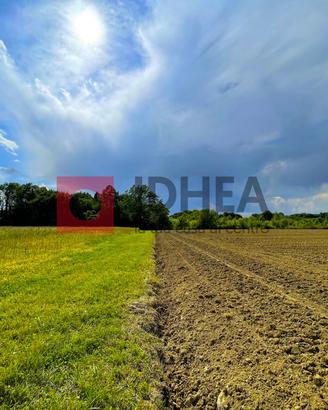 29.000 MQ TERRENO AGRICOLO TREVISO RIF "UTV20"