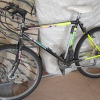 Mountain Bike Esperia Vintage anni 90