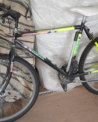 Mountain Bike Esperia Vintage anni 90