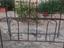 Immagine 4