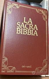 Libro bibbia