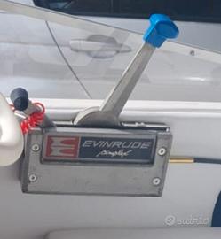 Manetta jhonson evinrude