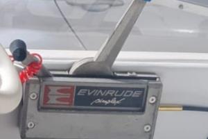 Manetta jhonson evinrude