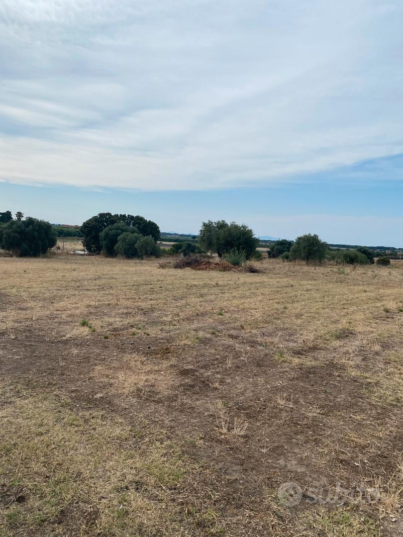 Terreni agricoli - Vista 5