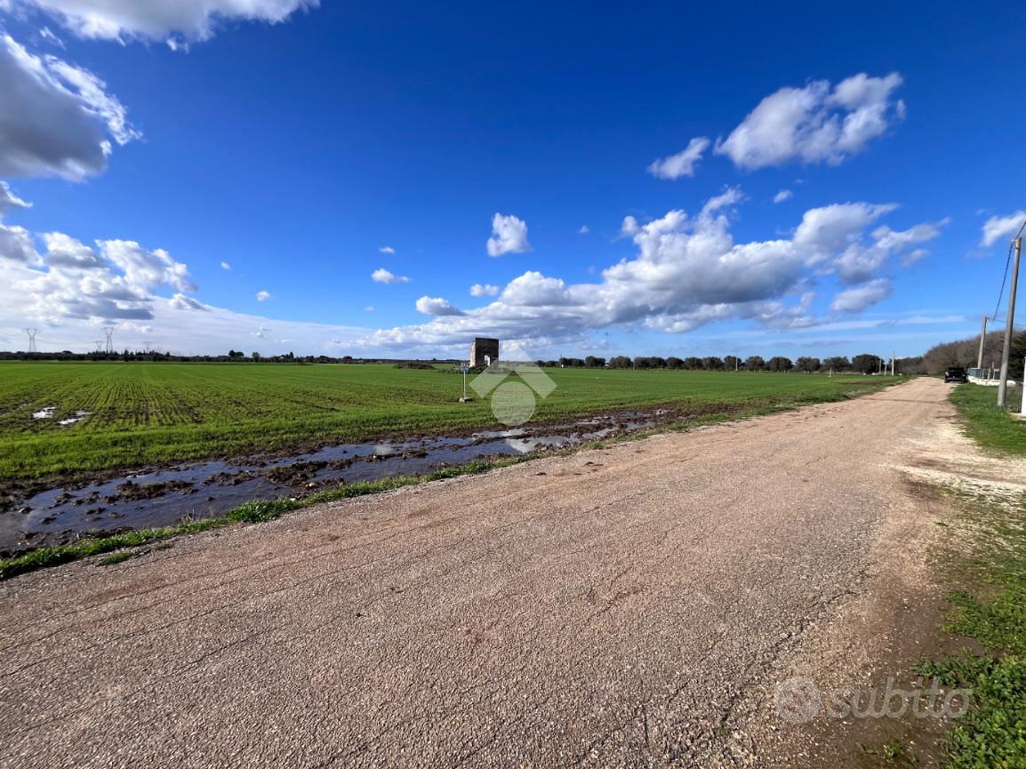 TER. AGRICOLO A MESAGNE - Vista 2