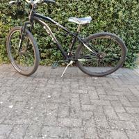 Mountain bike