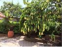 casa-vacanza-gaeta-vindicio-450-mt-dal-mare