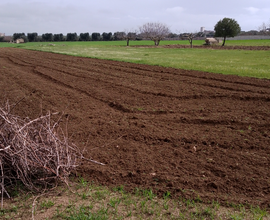 Terreno agricolo a leporano