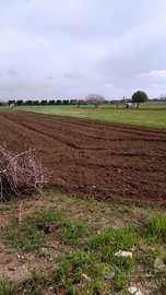 Terreno agricolo a leporano