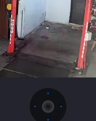 ponte auto