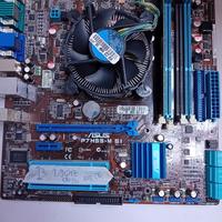 Scheda madre Asus P7H55-M SI socket LGA 1156