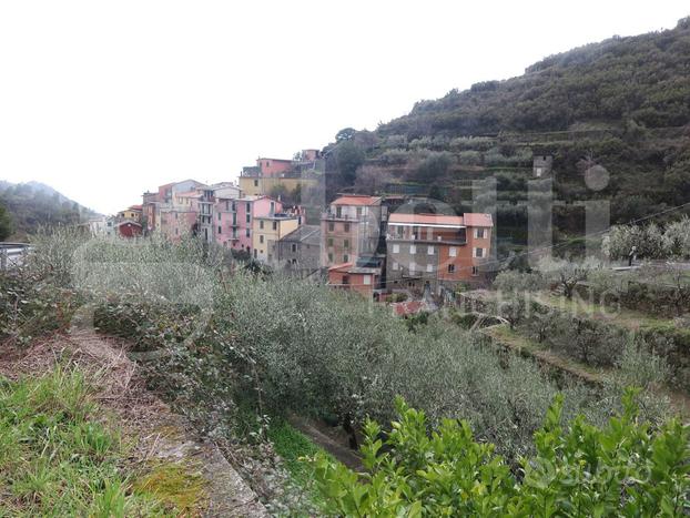 Appartamento Riomaggiore [436VRG]