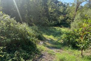 Terreno agricolo
