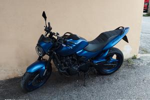 Honda Hornet 600 2005