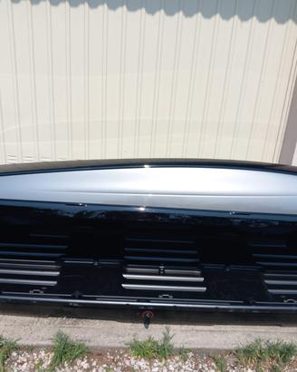 Box Baule Portapacchi Siluro Portasci