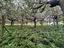 Immagine 24