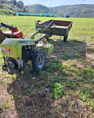 motocoltivatore grillo 131