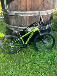 Cannondale