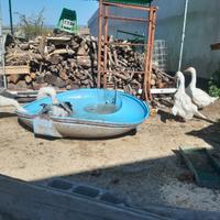 Oche 9 (vendita in blocco)