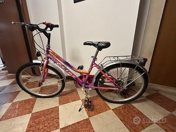 Bicicletta colorata elios