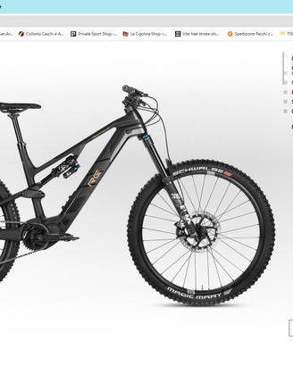 e-bike carbonio