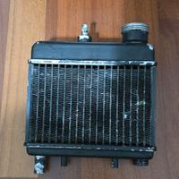 Radiatore Fifty Top/Mistral 1989