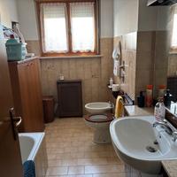 Stanza in appartamento a studentessa