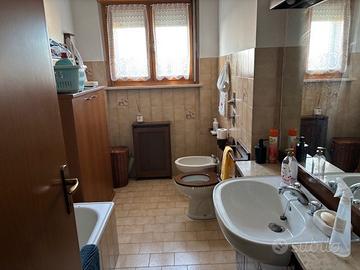 Stanza in appartamento a studentessa