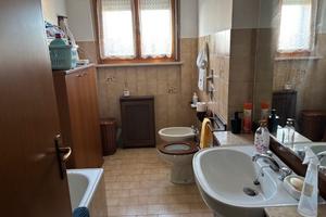 Stanza in appartamento a studentessa