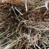 Fieno balloni e ballette