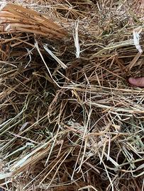 Fieno balloni e ballette