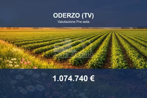 Immobile in asta di 82824 m² a Oderzo