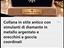 Immagine 6