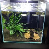 Acquario 30 l
